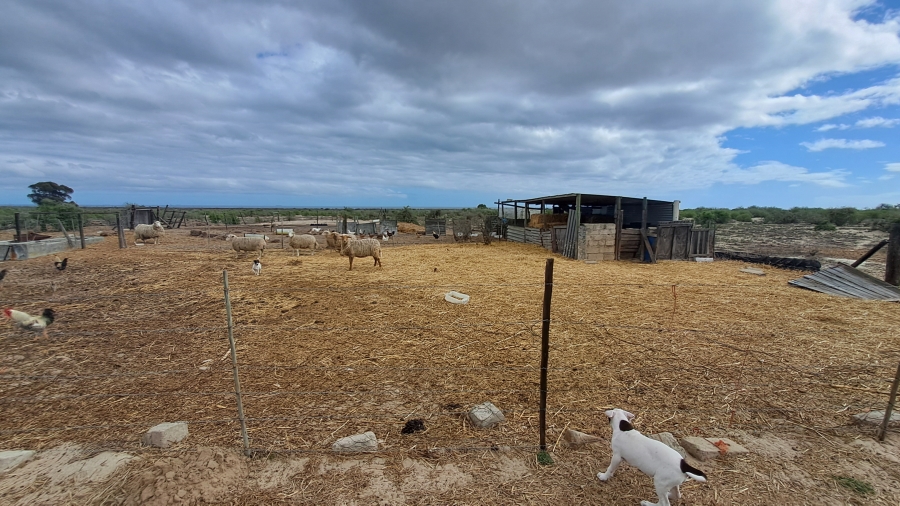 3 Bedroom Property for Sale in Piketberg Rural Western Cape
